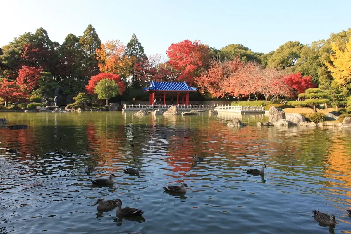 大仙公園・日本庭園（写真 2）