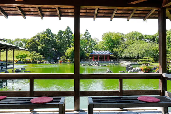 景色と一緒に抹茶とお茶菓子が楽しめる！