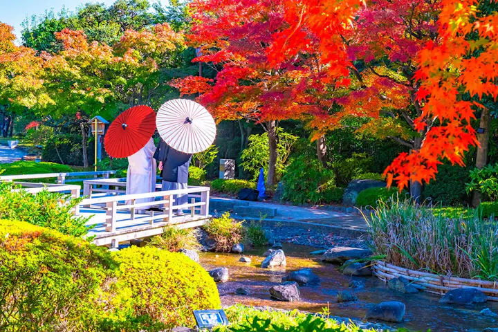 毎年恒例！大仙公園日本庭園写真コンテスト