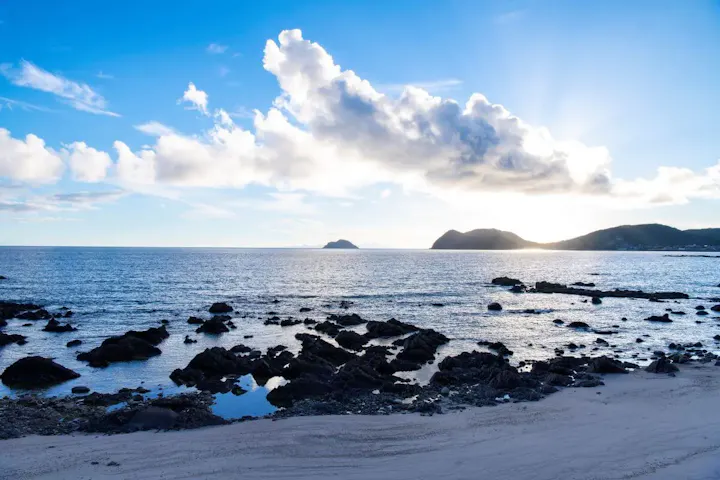 白い砂浜と美しい青松が特徴の海岸！