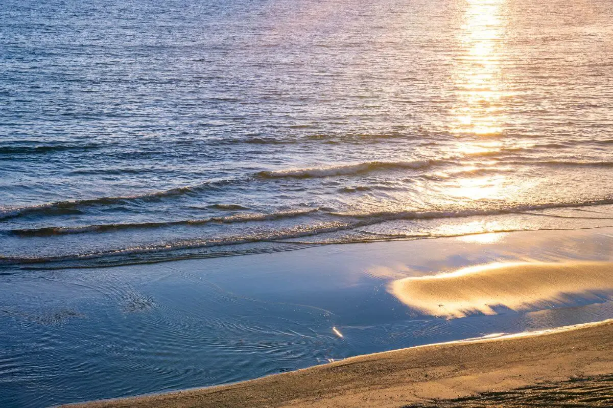 白浜海岸(写真 4)