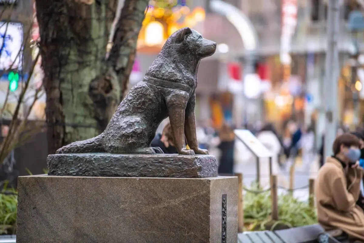 ハチ公の銅像(写真 3)
