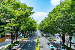 表参道