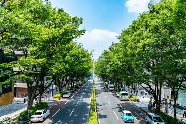表参道