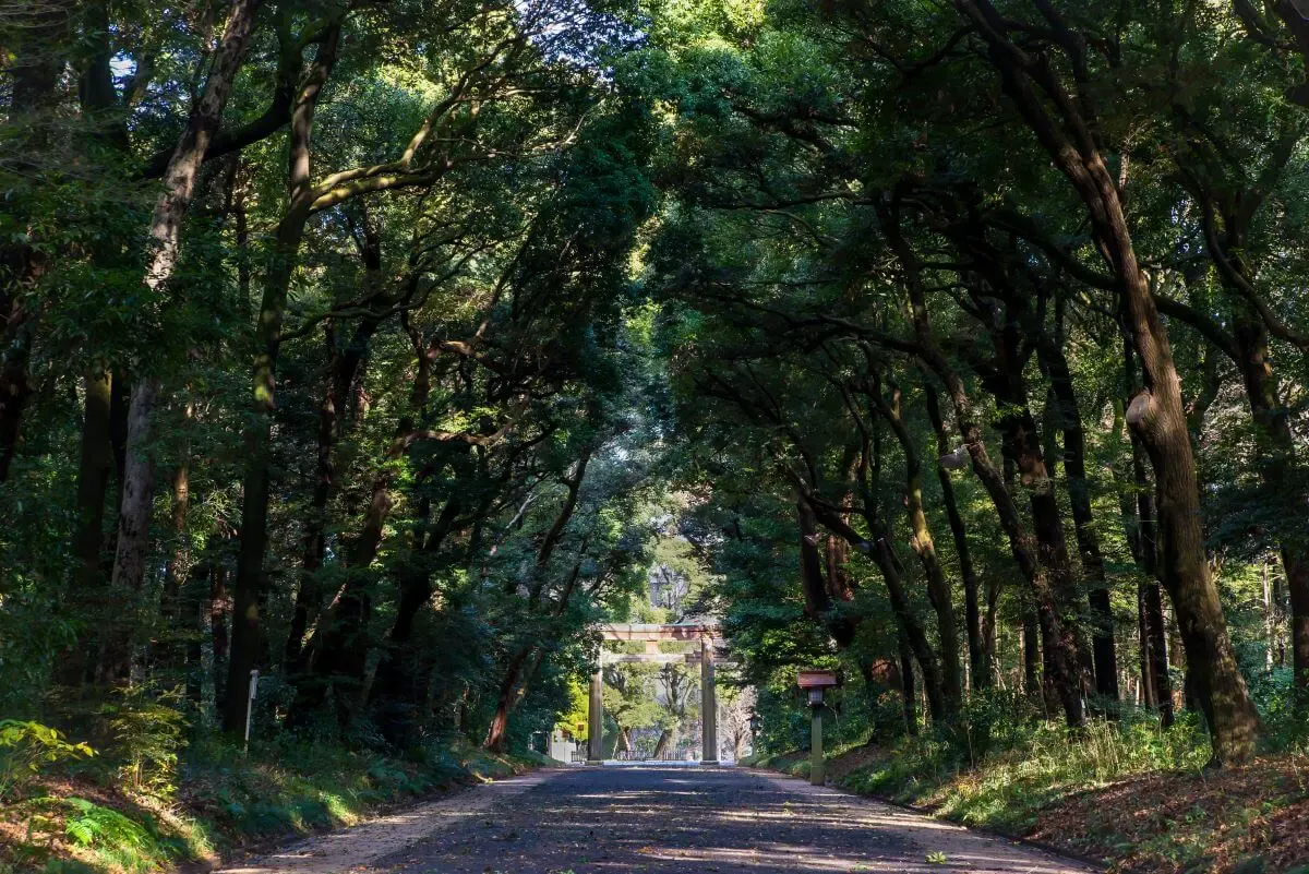 明治神宮（写真 5）
