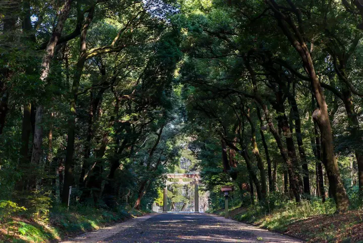 都会の真ん中の自然あふれる神社