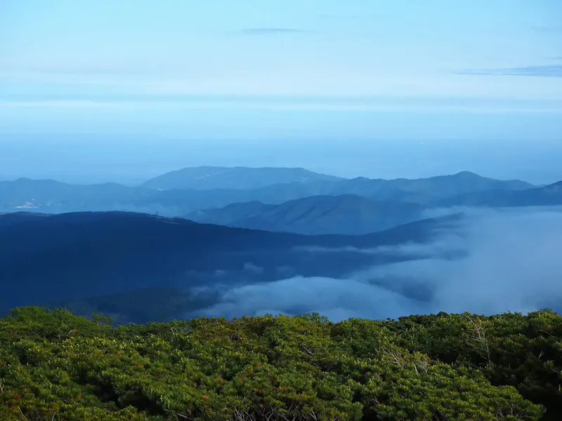 五葉山