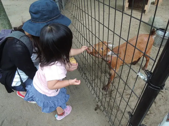 動物にも触れ合うことができます！