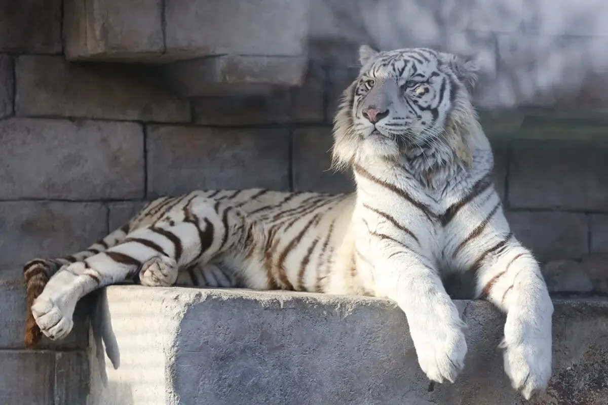 東武動物公園（写真 2）