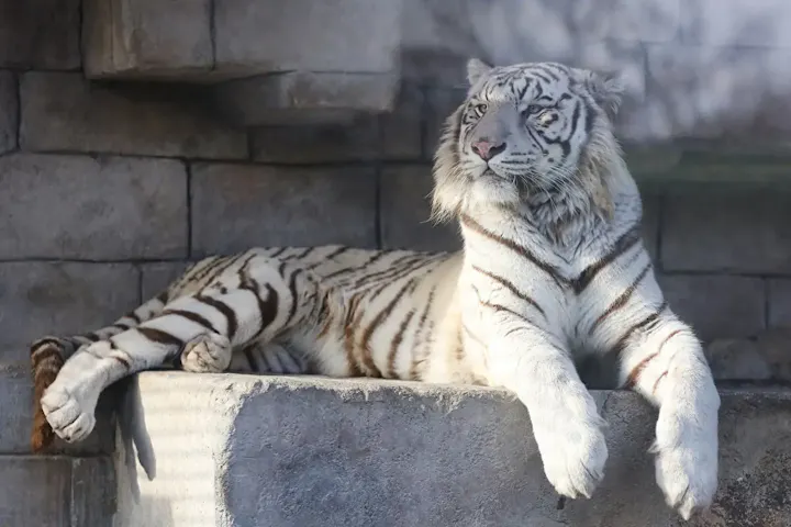 約120種類もの動物が暮らす動物園