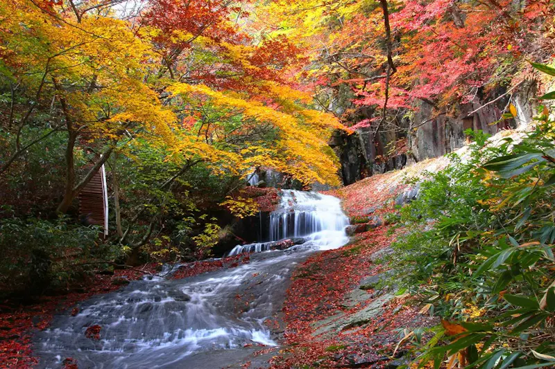 岳温泉