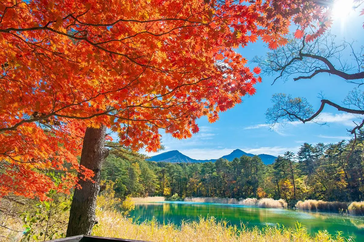 五色沼湖沼群（写真 3）