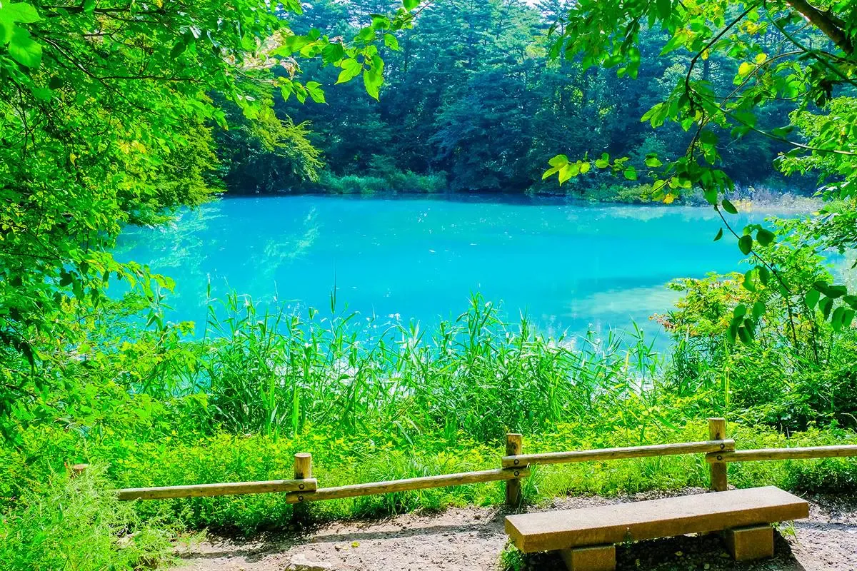 五色沼湖沼群（写真 5）