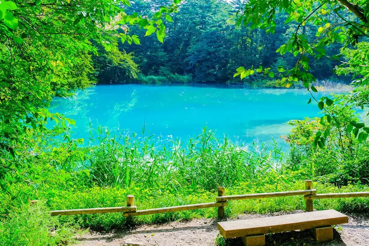 青さが美しい「青沼」は必見!