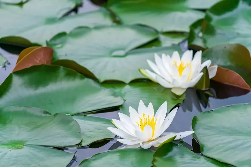 土湯温泉