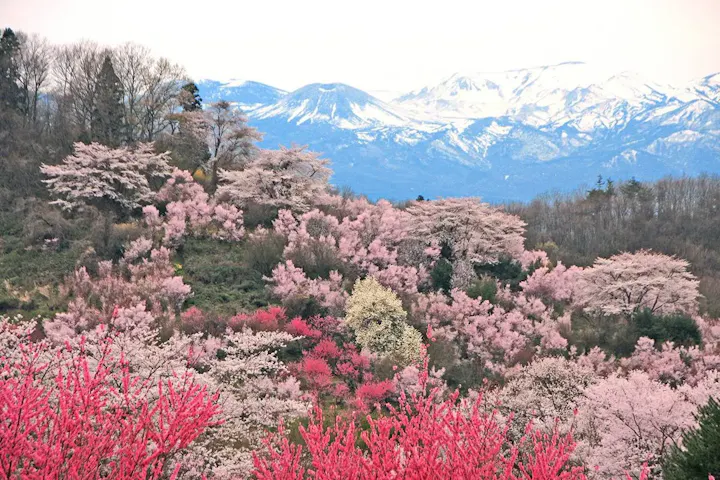 展望場から望む圧巻の景色!