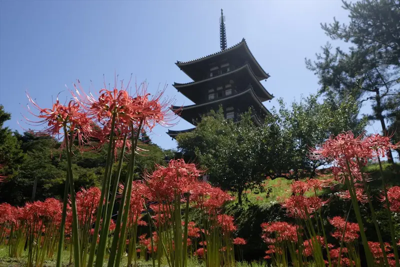安達ヶ原ふるさと村