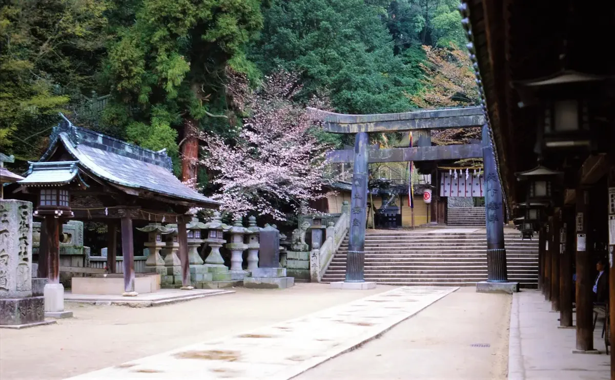 金刀比羅宮(写真 3)