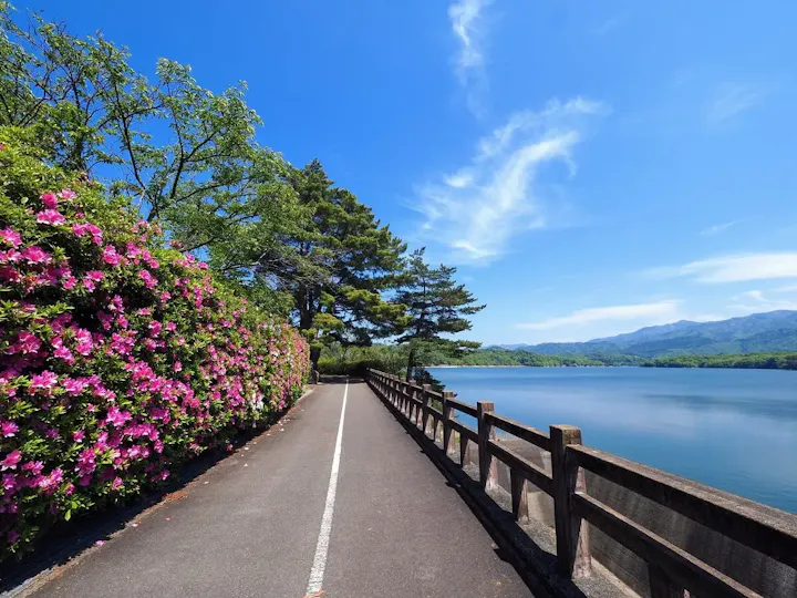 満濃池展望遊歩道からの景色