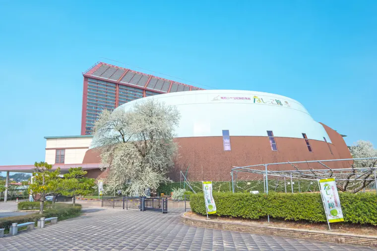 鳥取二十世紀梨記念館なしっこ館