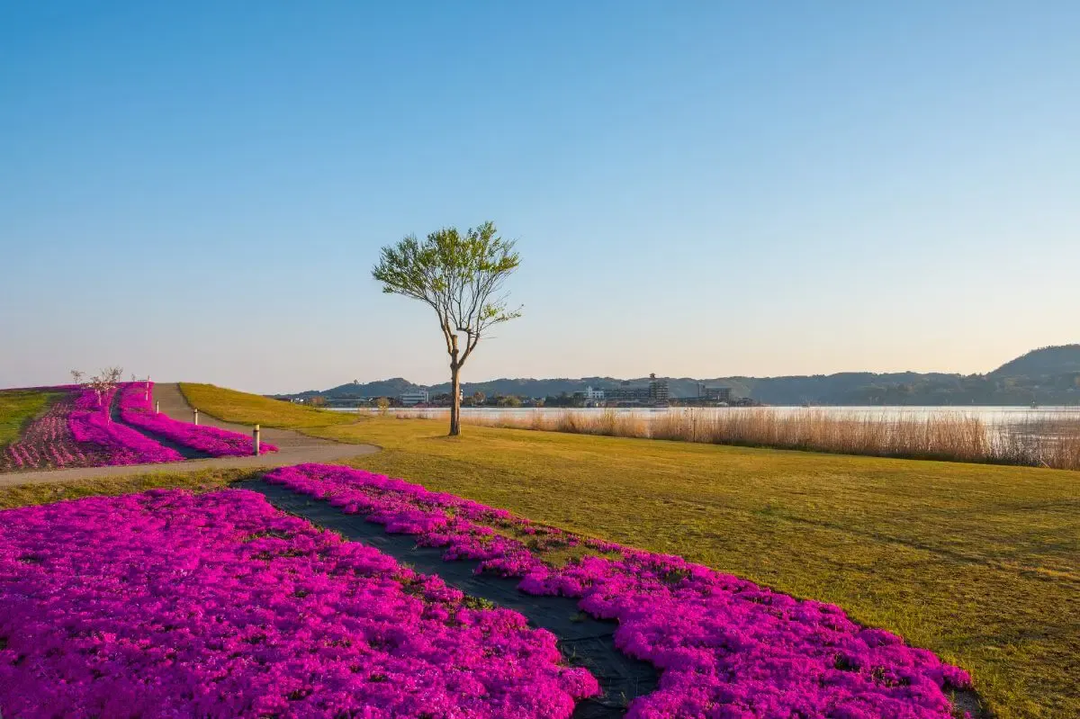 羽合温泉(写真 3)