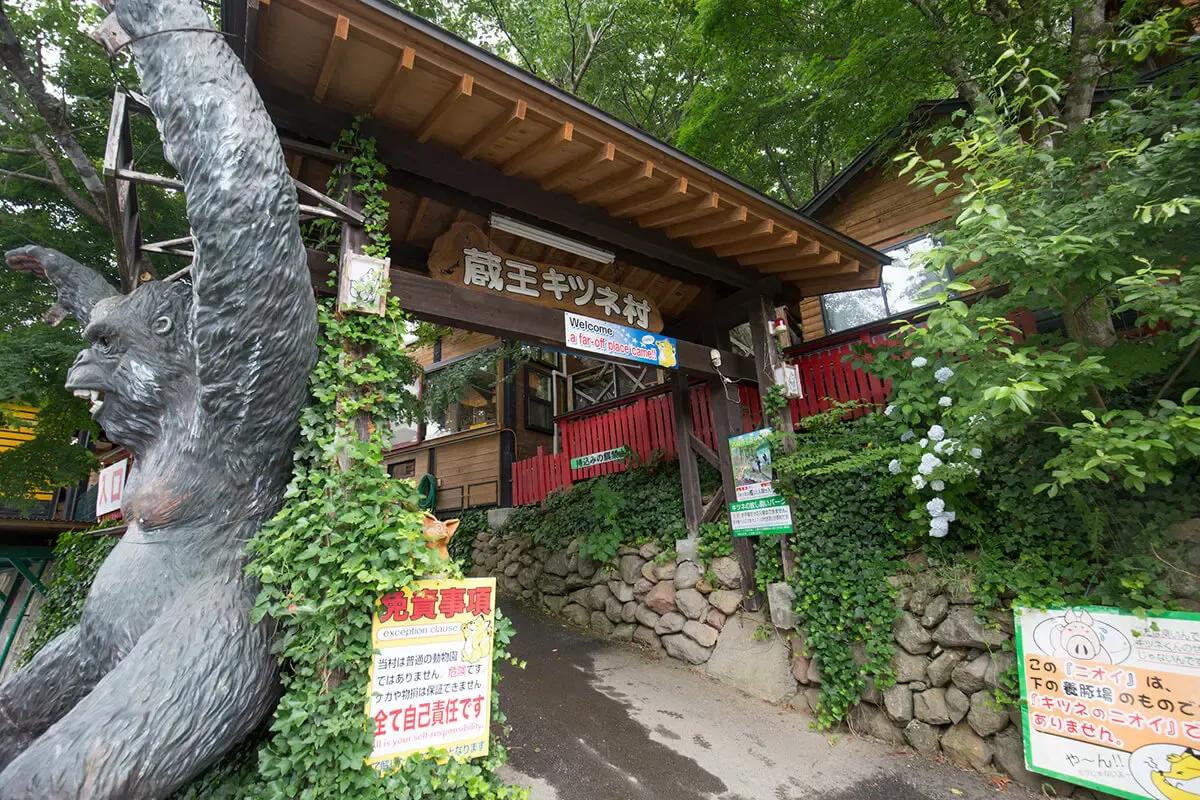 蔵王キツネ村
