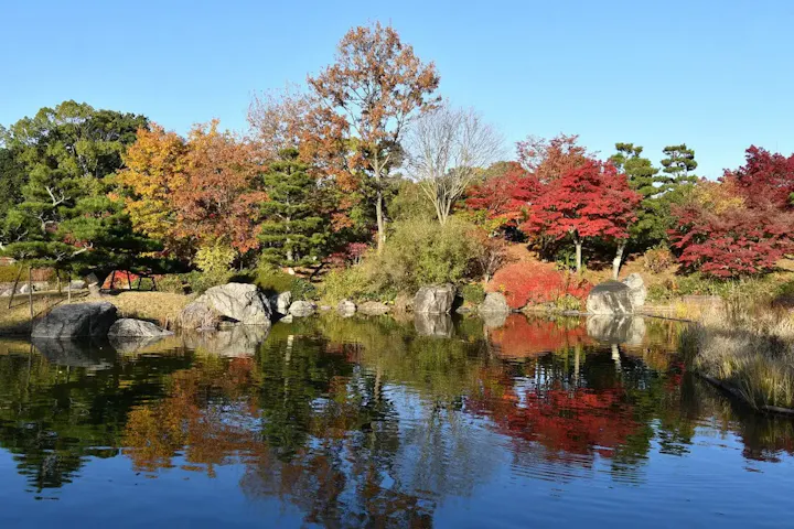 日本庭園の景色を楽しむ