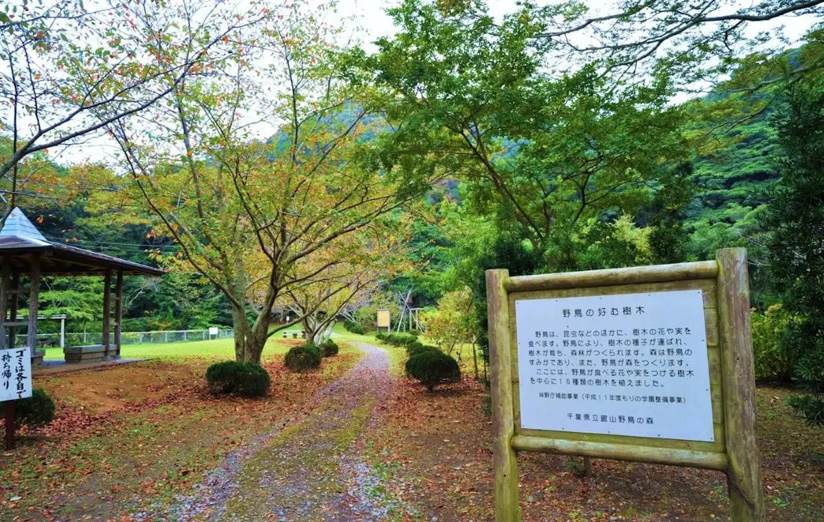 千葉県立館山野鳥の森
