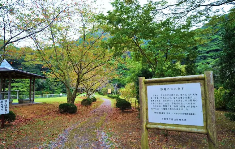 千葉県立館山野鳥の森