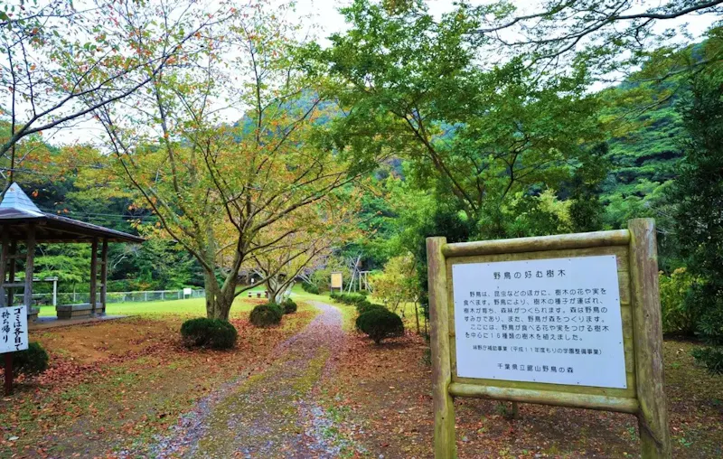 千葉県立館山野鳥の森
