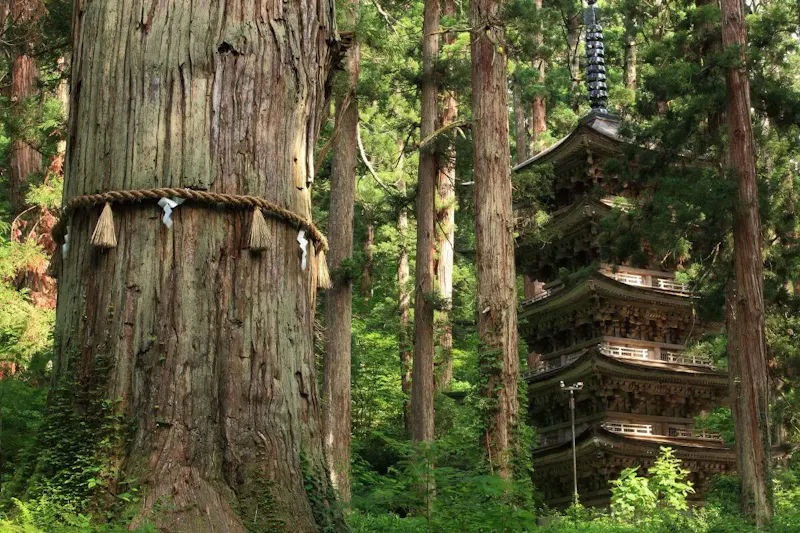 羽黒山五重塔