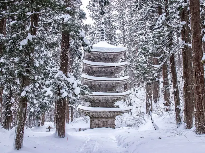 幻想的な景色が広がる雪景色！