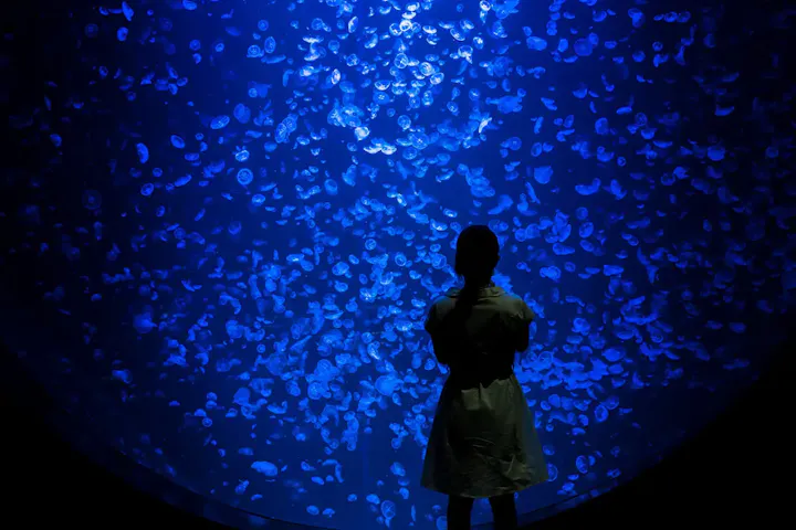 世界一のクラゲ水族館！