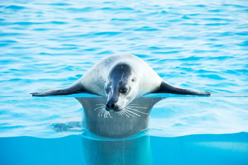 鶴岡市立加茂水族館