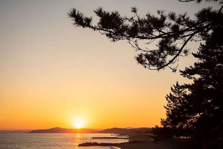 ロマンチックで感動的な桂浜の夕日！