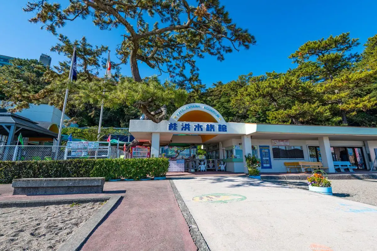 桂浜（写真 6）