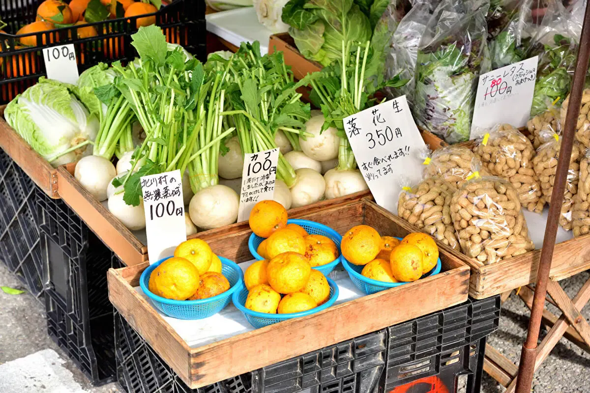 土佐の日曜市（写真 2）
