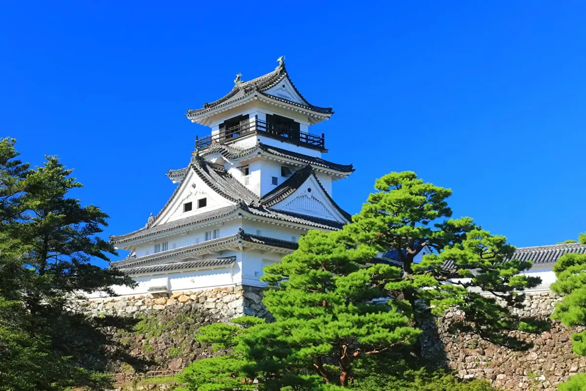 土佐の日曜市（写真 5）