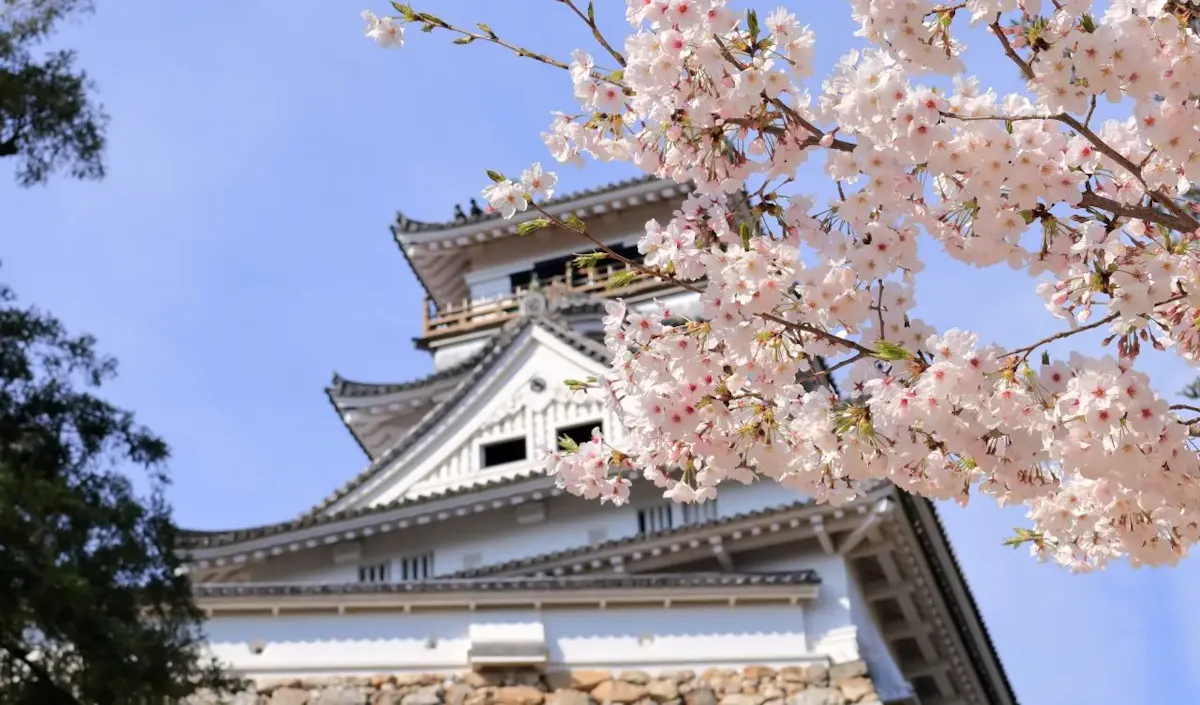 高知城（写真 4）