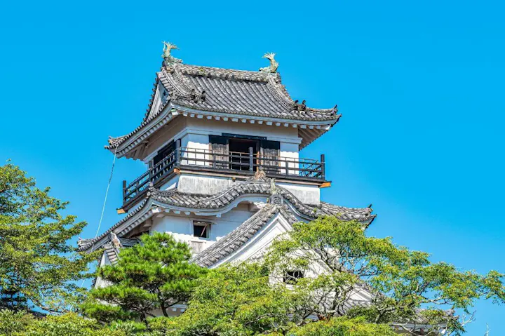 日本の城郭文化を象徴する天守と本丸御殿！