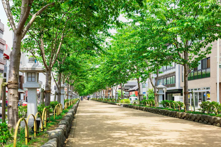 参道の若宮大路も欠かせない