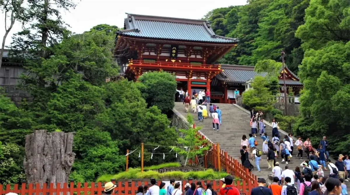 鶴岡八幡宮(写真 5)