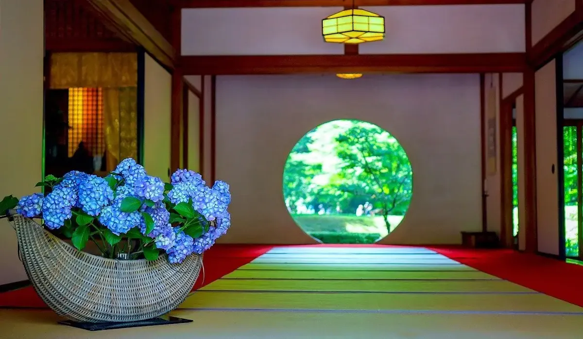 明月院(あじさい寺)(写真 5)