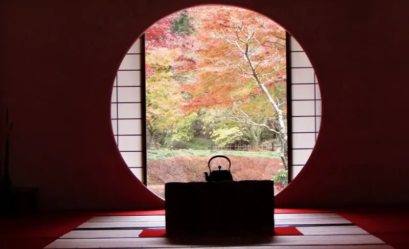 明月院(あじさい寺)