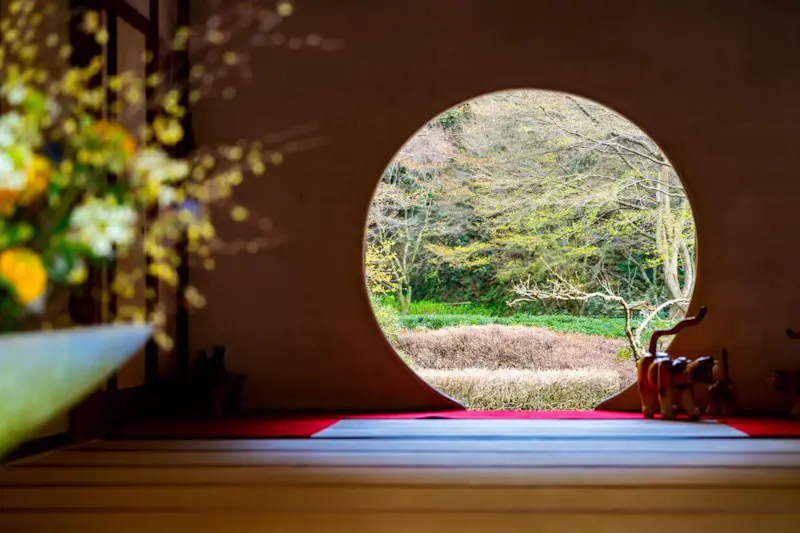 明月院(あじさい寺)