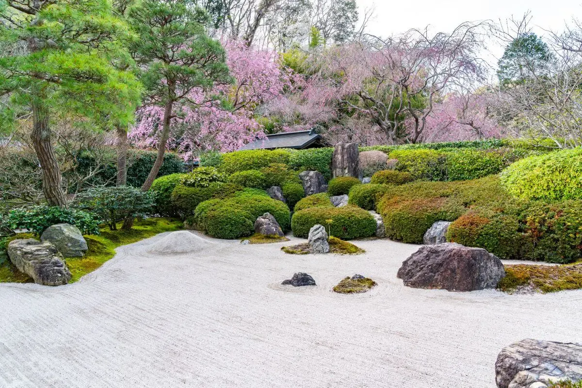 明月院(あじさい寺)(写真 6)