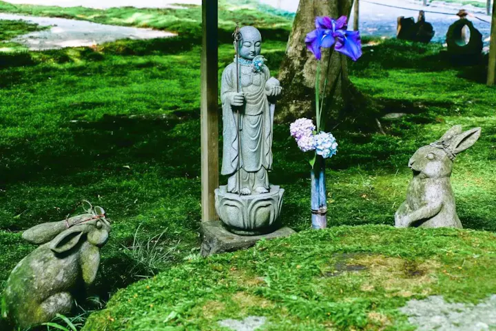 うさぎたちと触れ合おう!
