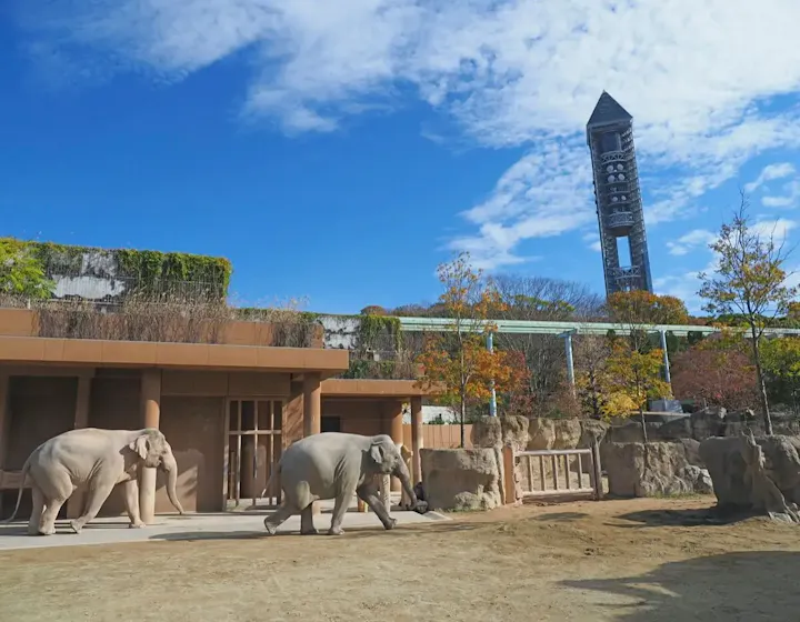 名古屋城周辺で美術館や博物館を巡ろう！