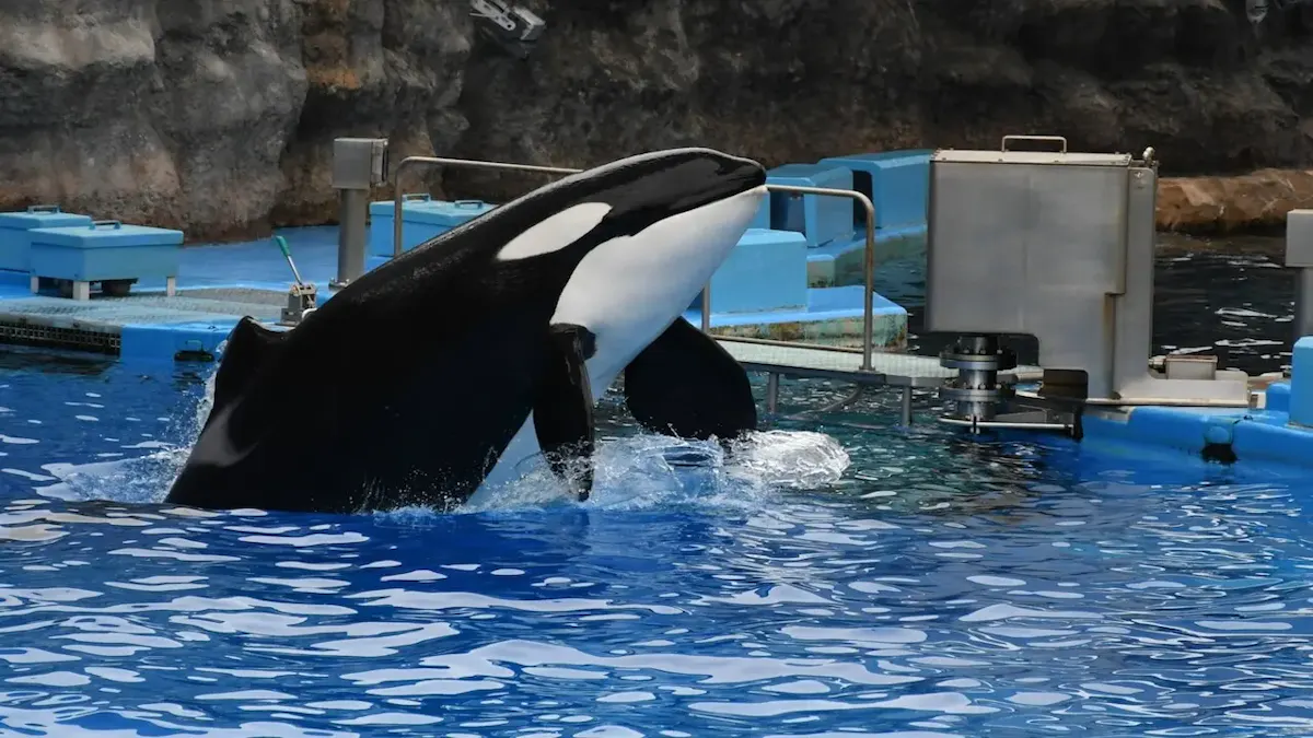 名古屋港水族館(写真 2)