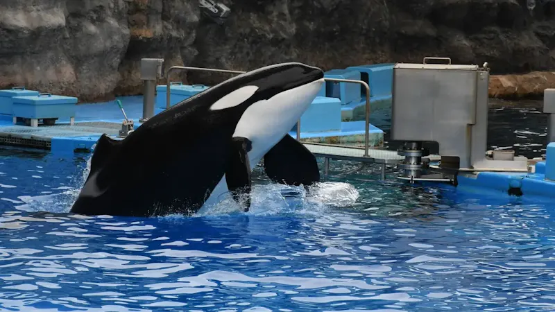 名古屋港水族館